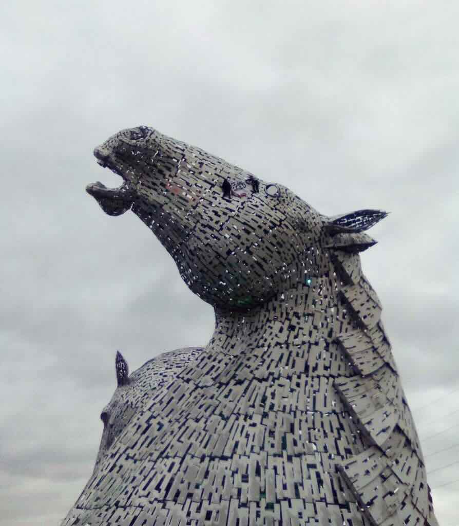 Clibers display the TiR banner on the head of the kelpie